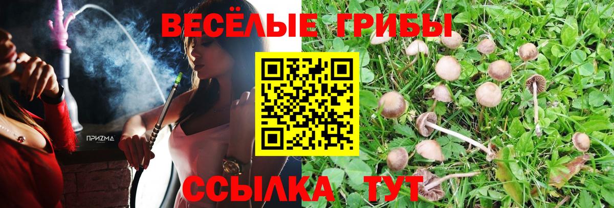 Арсеньев  Галлюциногенные грибы MAGIC MUSHROOMS  Псилоцибиновые грибы Cubensis  Вход с VPN 